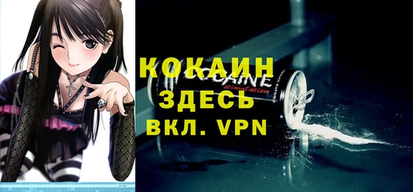 спиды Каменка