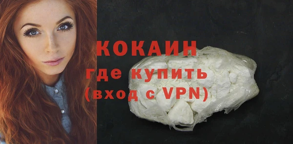 мдпв Верея
