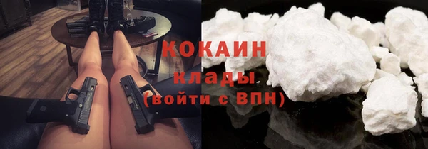 мдпв Верея